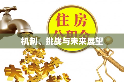 沁县机制、挑战与未来展望